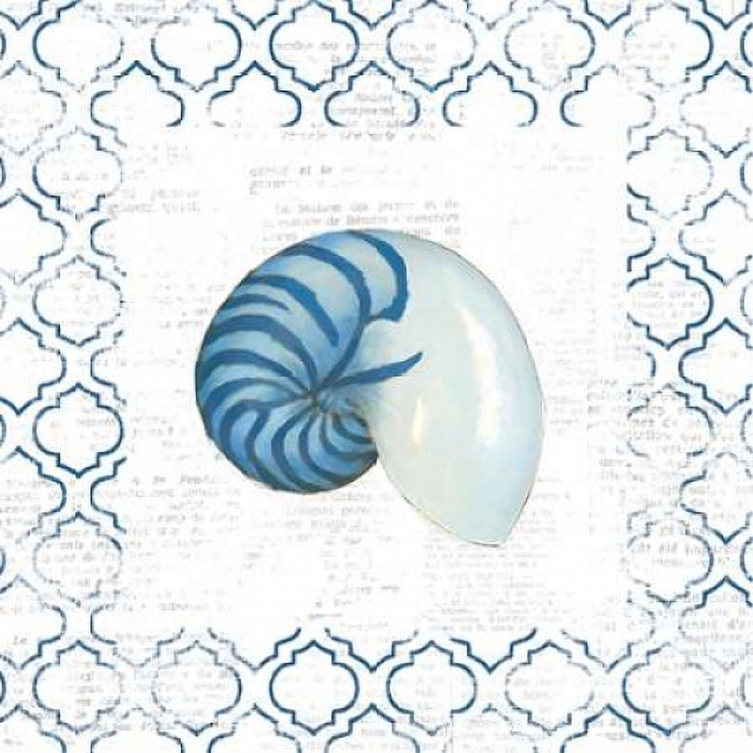 Navy Nautilus Shell on Newsprint Canvas Art - Emily Adams (24 x 24)