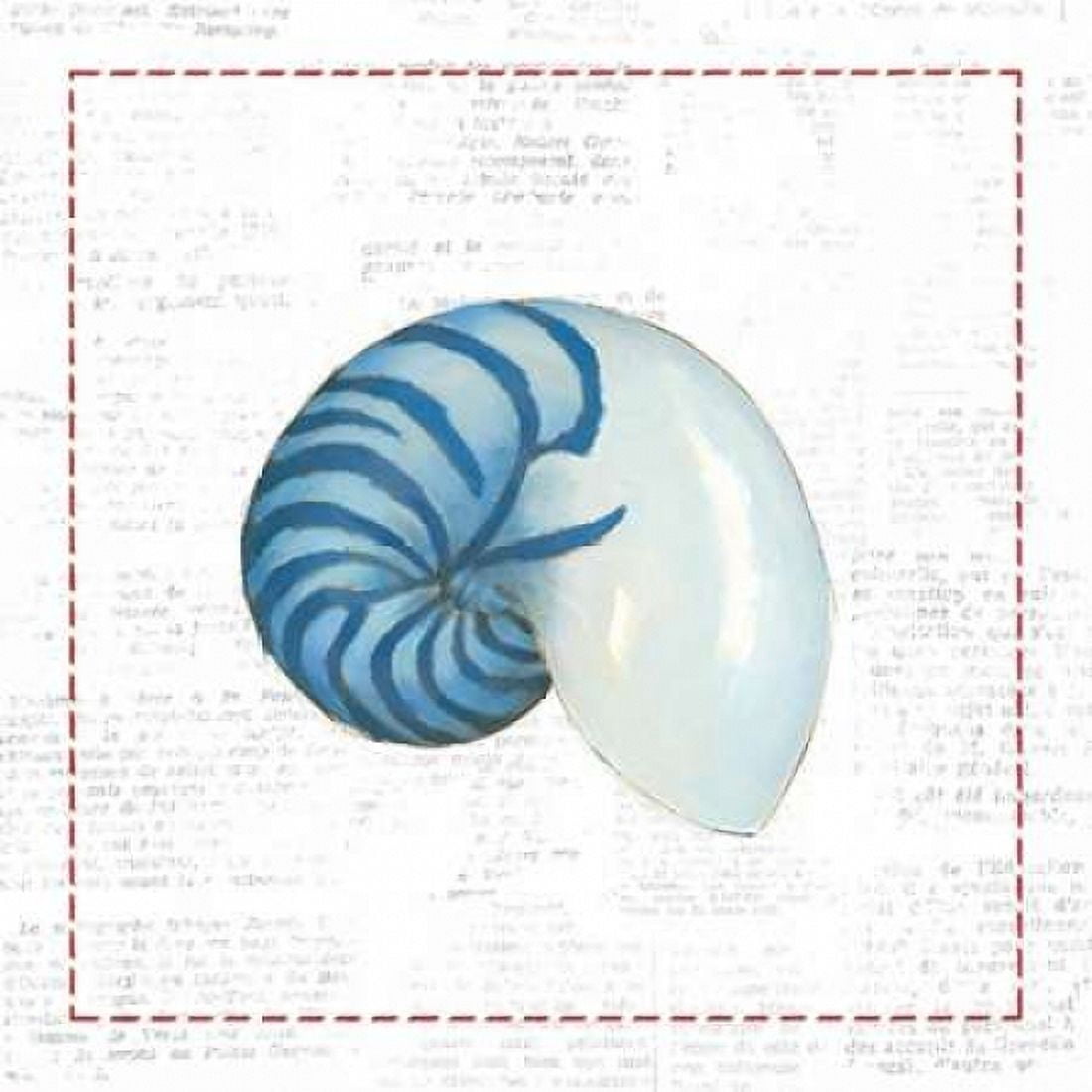 Navy Nautilus Shell on Newsprint with Red Canvas Art - Emily Adams (24 x 24)