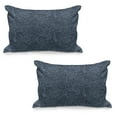 thumbnail image 1 of Navy and Teal Quilted Pillowcover Set of 2, Abstract Flourish Nature Inspired Pattern Leaves Blossoms Print, Standard Queen Size Pillow Cover Bedroom, 30" x 20", Baby Blue and Navy Blue, by Ambesonne, 1 of 1