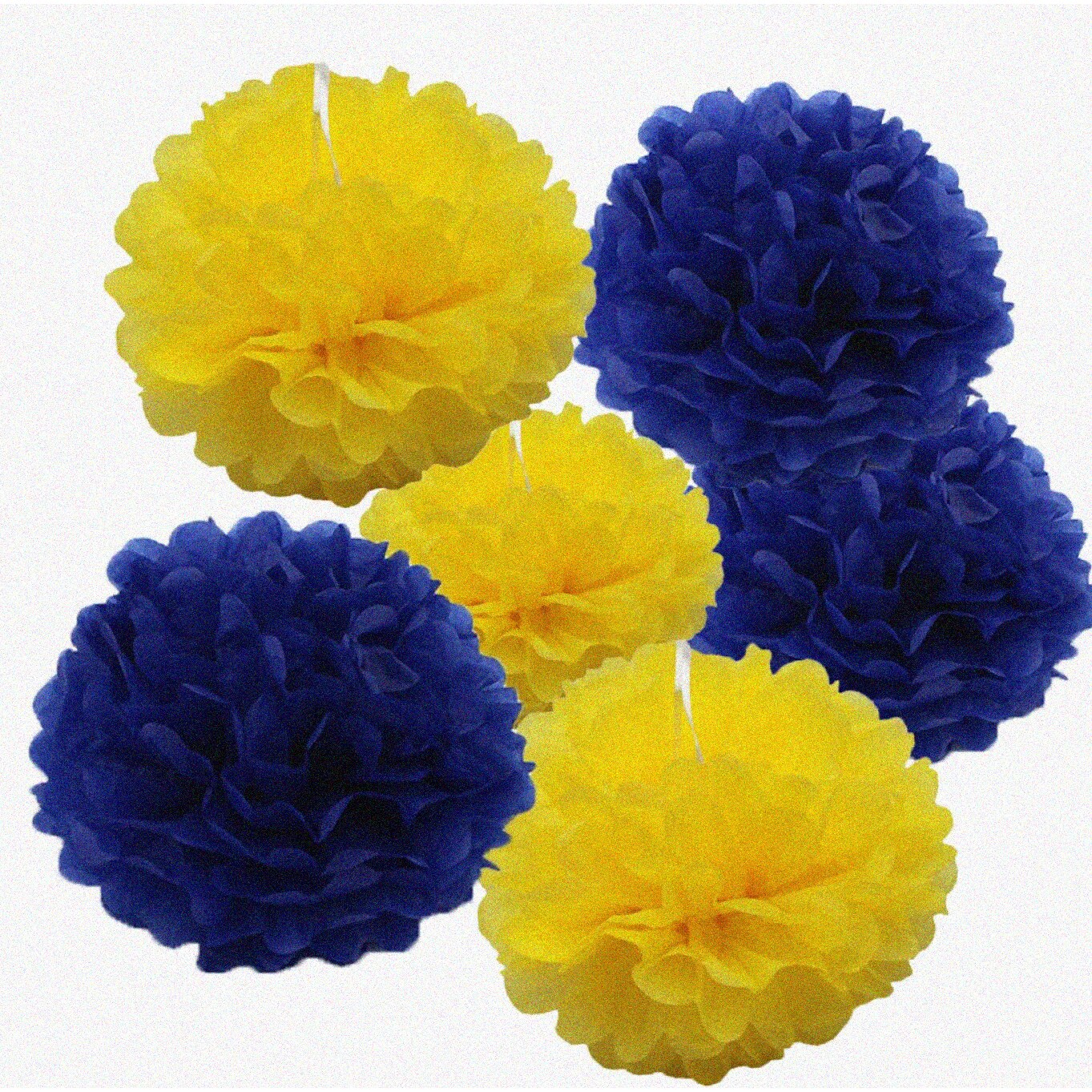 Navy & Yellow Tissue Pom Poms 6pc Set for Graduation, Weddings