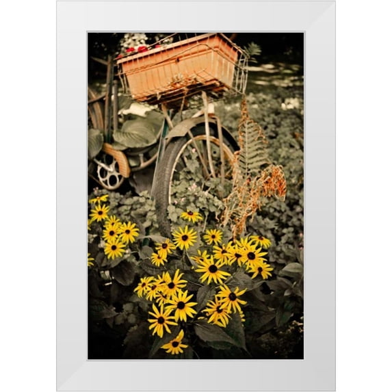 Nawrocke, Bruce 11x14 White Modern Wood Framed Museum Art Print Titled - In the Fields II