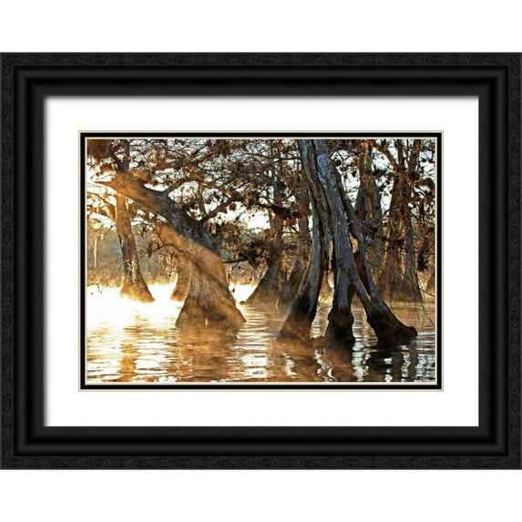 Nawrocke, Bruce 14x11 Black Ornate Wood Framed with Double Matting Museum Art Print Titled - Cypress Creek II