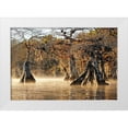 thumbnail image 1 of Nawrocke, Bruce 14x11 White Modern Wood Framed Museum Art Print Titled - Cypress Creek I, 1 of 4