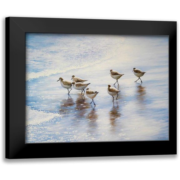 Nawrocke, Bruce 14x12 Black Modern Framed Museum Art Print Titled - Sand Dancers