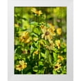 thumbnail image 1 of Nawrocke, Bruce 15x18 White Modern Wood Framed Museum Art Print Titled - Daisies on Wood, 1 of 4