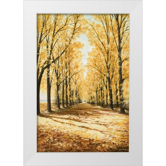 Nawrocke, Bruce 17x24 White Modern Wood Framed Museum Art Print Titled - Falls Cathedral