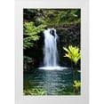 thumbnail image 1 of Nawrocke, Bruce 17x24 White Modern Wood Framed Museum Art Print Titled - Hide Aways, 1 of 4