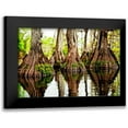 thumbnail image 1 of Nawrocke, Bruce 18x13 Black Modern Framed Museum Art Print Titled - Tree Stumps, 1 of 5