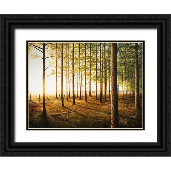 Nawrocke, Bruce 18x15 Black Ornate Wood Framed with Double Matting Museum Art Print Titled - Sunrise In The Woods