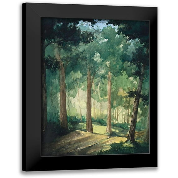 Nawrocke, Bruce 20x24 Black Modern Framed Museum Art Print Titled - Hike In The Dark Green Woods