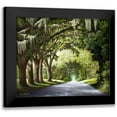thumbnail image 1 of Nawrocke, Bruce 23x20 Black Modern Framed Museum Art Print Titled - Down The Rabbit Hole, 1 of 5