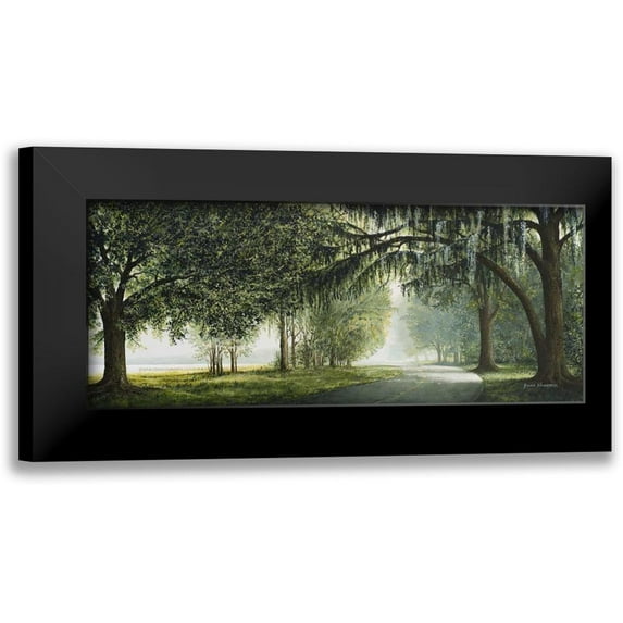 Nawrocke, Bruce 24x12 Black Modern Framed Museum Art Print Titled - Lake Shore Drive
