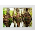 thumbnail image 1 of Nawrocke, Bruce 24x17 White Modern Wood Framed Museum Art Print Titled - Tree Stumps, 1 of 4