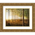 thumbnail image 1 of Nawrocke, Bruce 24x19 Gold Ornate Wood Framed with Double Matting Museum Art Print Titled - Sunrise In The Woods, 1 of 4