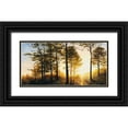 thumbnail image 1 of Nawrocke, Bruce 32x18 Black Ornate Wood Framed with Double Matting Museum Art Print Titled - Lifes Engine, 1 of 4