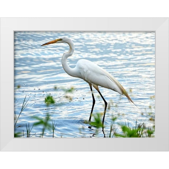 Nawrocke, Bruce 32x25 White Modern Wood Framed Museum Art Print Titled - By The Lake Egret