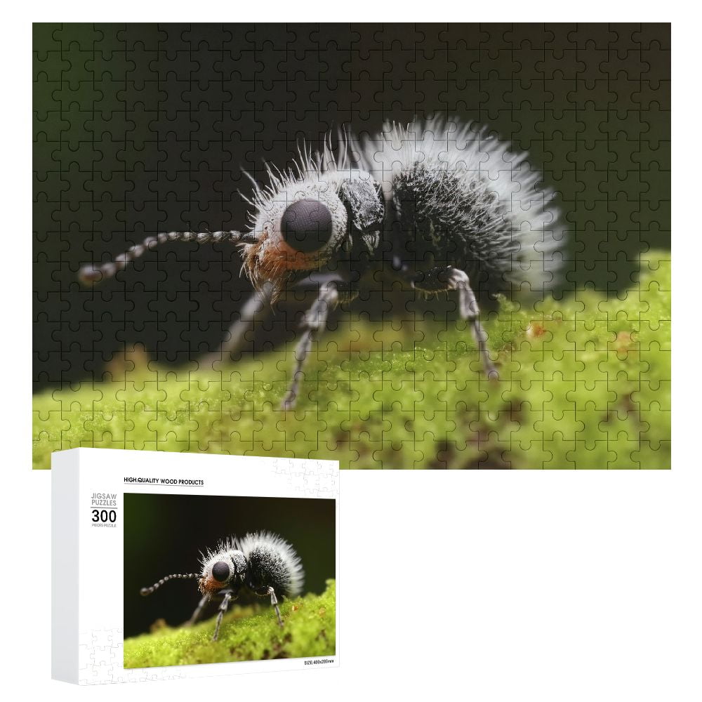 Awypu Insects Wooden Jigsaw Puzzle Challenging Difficult Wood Puzzles ...