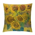 thumbnail image 1 of Nawypu  Abstract Pillow Covers Vincent Van Gogh Cushion Covers Decorative Pillow Cases, 1 of 5