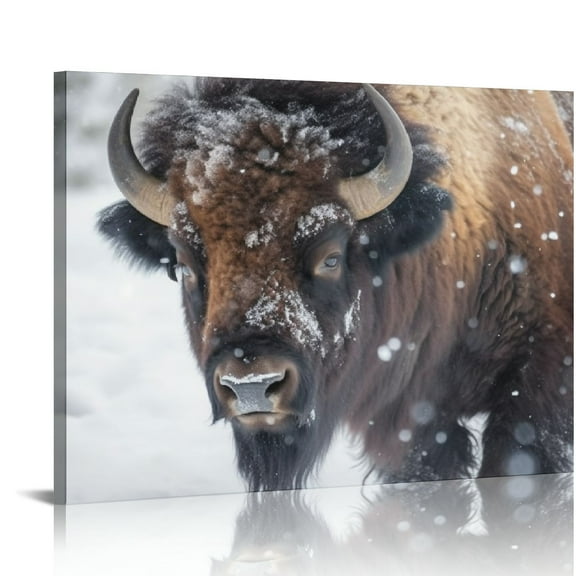 Nawypu  American Bison Or Buffalo Resting in A Snow Storm Canvas Wall Art Gallery Artwork - Wall Decorations for Bedroom - Modern Home Decor Stretched and Framed Ready to Hang 20x16 inch