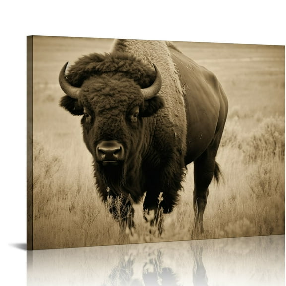 Nawypu American Buffalo Picture, Made on Stretched Canvas, Wall Art Décor, Ready to Hang!