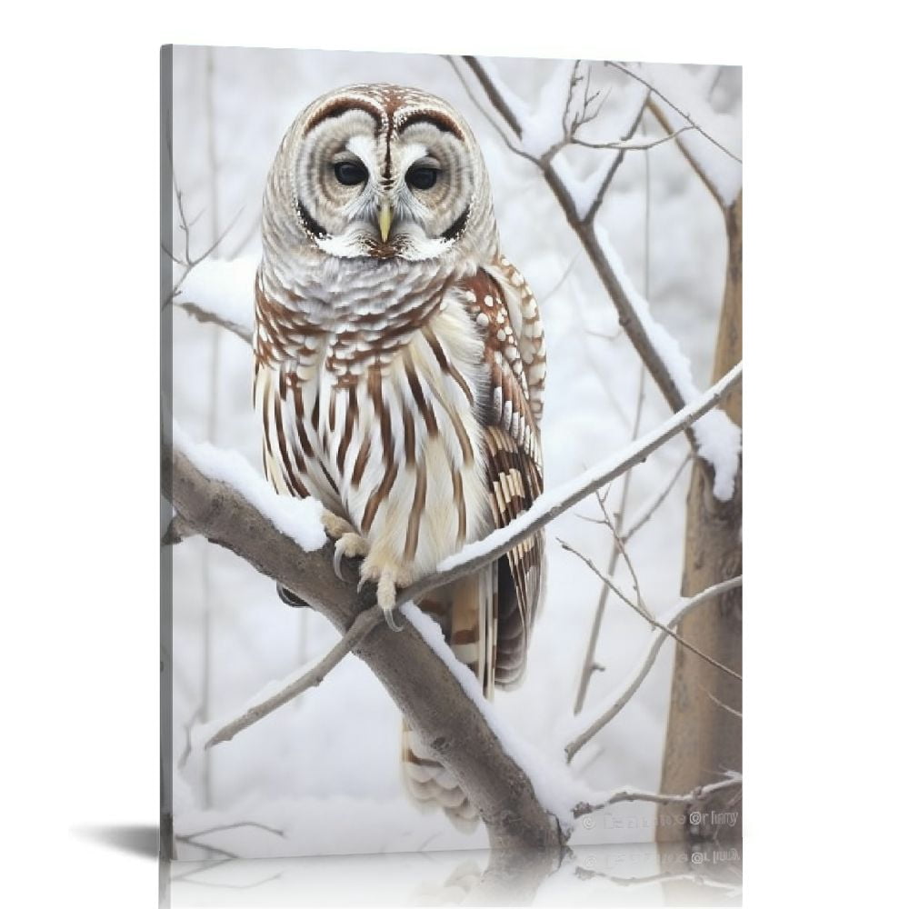Nawypu Animals Snowy Owl Canvas Poster Wall Art Decor Print Picture ...