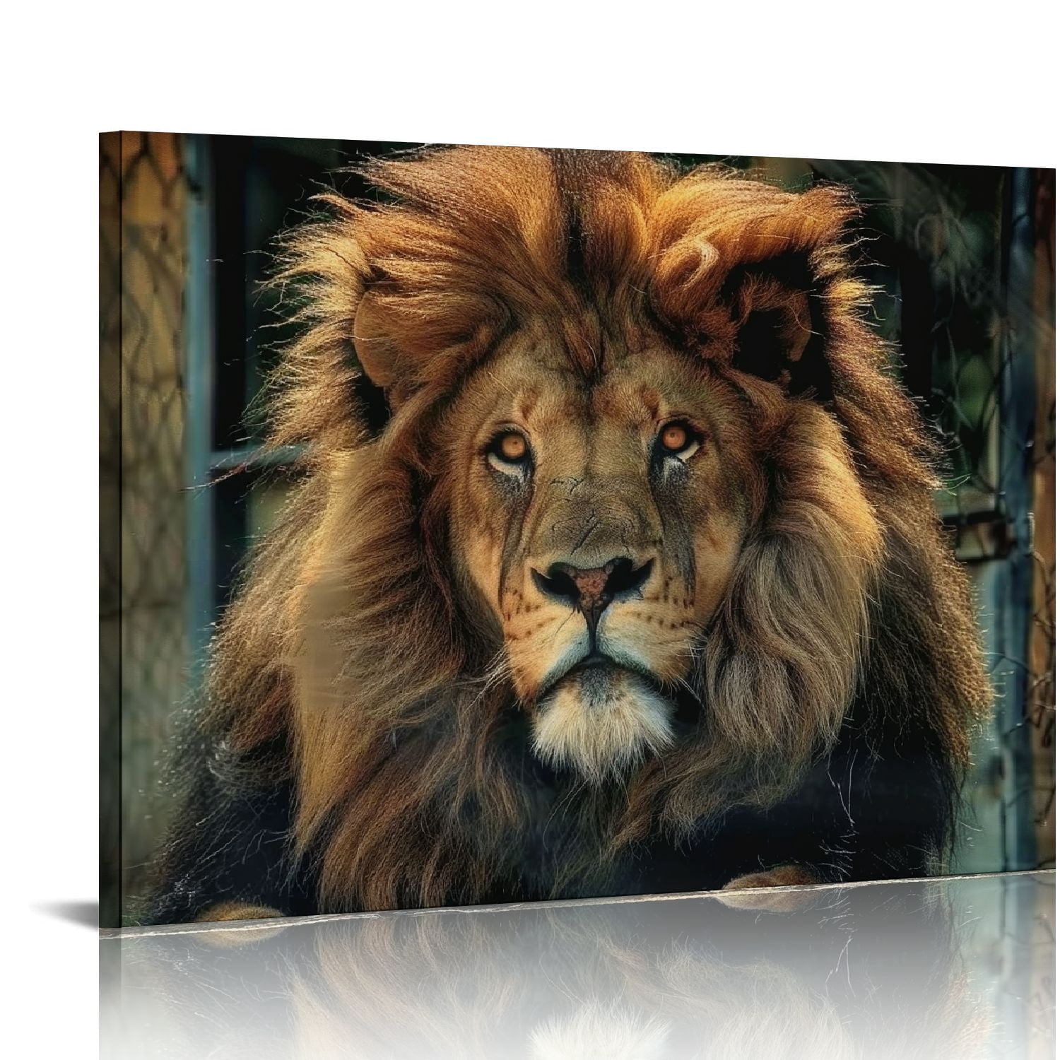 Afro Libya Football Custom Canvas Wall Art Barbary Lion - Sporty Style LT15 main image 0
