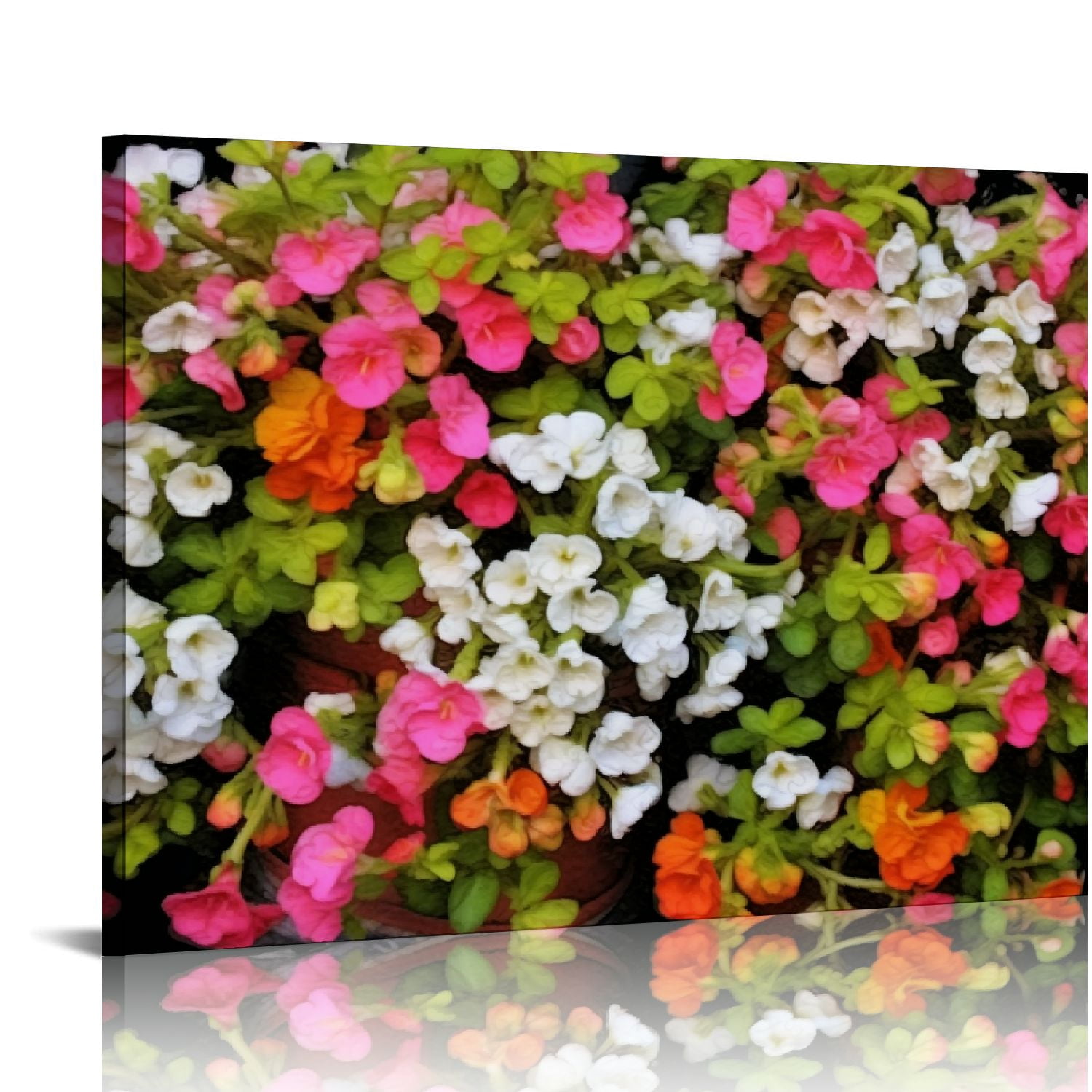 Blocked Begonia Lampshade Canvas main image 1