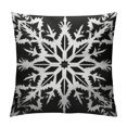 thumbnail image 1 of Nawypu Black Christmas Pillow Covers  Winter Snowflake Xmas Rustic Farmhouse Pillow Cases with Zipper Set of  Christmas Decorations Indoor Home Decor for Winter Holiday Room Bedroom Cushion Outdoor, 1 of 5