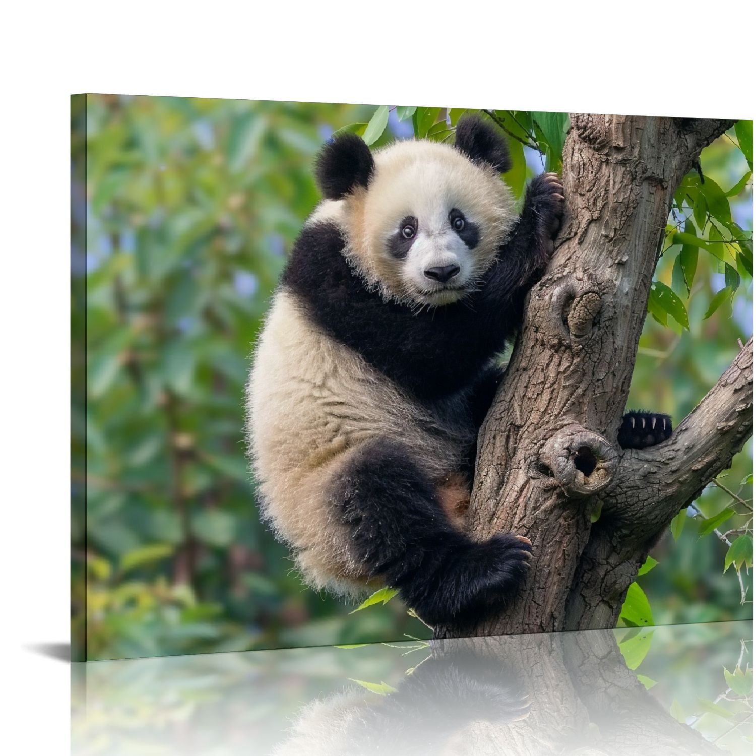 Nawypu Black and White Animal Panda Wall Art, Cute Panda Poster Picture ...