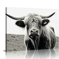 thumbnail image 1 of Nawypu Black and White Framed Nature Prints Wall Art Animals Poster large Highland Cow Vintage Canvas Artwork for Living Room Farmhouse Wall Decoration 20x16 inch, 1 of 4