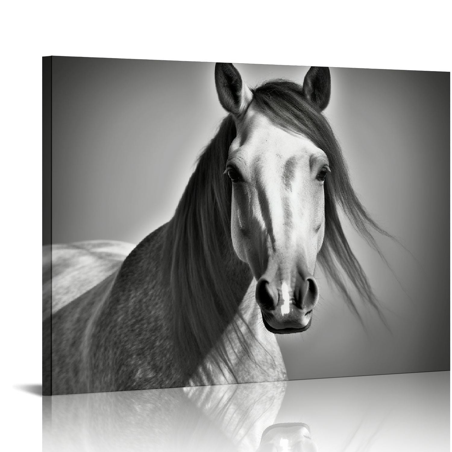 Black And White Horse Wall Art