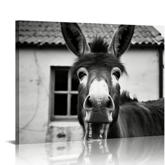 Nawypu Black and White Wall Art Animal Wall Decor Horse Donkey Sheep Cow Canvas Pictures Prints Funny Decor Posters for Mens Bedroom Farmhouse Decoration Stretched Framed Ready to Hang 20x16 inch