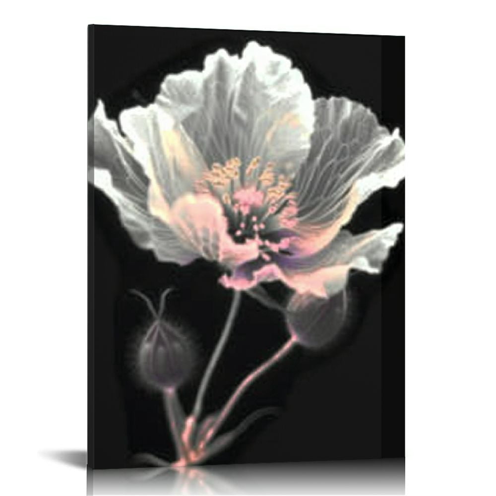 Awypu Black and White Wall Art Framed Flower Canvas Print Lily Rose ...