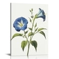 thumbnail image 1 of Nawypu Blue Flower Canvas Wall Art Print, Vintage Floral Botanical Decor Antique Botany Poster, Blue Tone Morning Glory Decorate for Office, 1 of 4