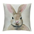 thumbnail image 1 of Nawypu Bunny Throw Pillow Covers Rabbit Flower Pillow Case Linen Spring Home Season's Decorations for The Home Couch, 1 of 5
