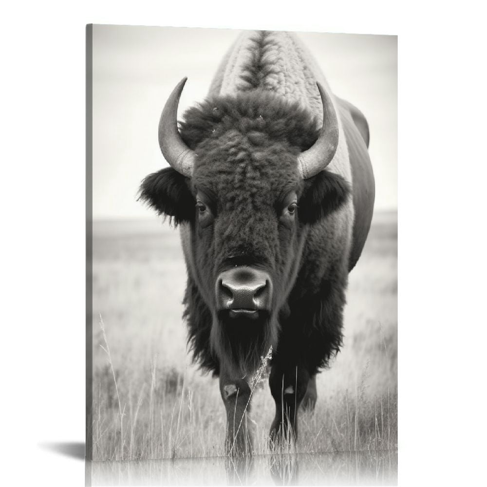Nawypu Canvas Print Animal Wall Art Black and White American Bison ...