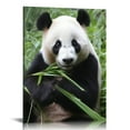 thumbnail image 1 of Nawypu  Canvas Print Wall Art Giant Panda Chewing on Bamboo Shoot Animals Wildlife Photography Modern Art Tropical Scenic Relax/Calm Multicolor Colorful for Living Room, Bedroom, Office -, 1 of 4
