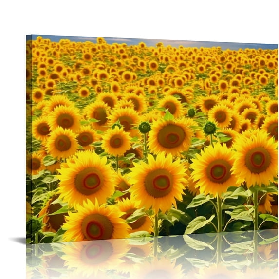 Nawypu Canvas Print Wall Art Hundreds of Sunflowers in Field Floral Plants Photography Realism Contemporary Scenic Colorful Multicolor Ultra for Living Room, Bedroom, Office