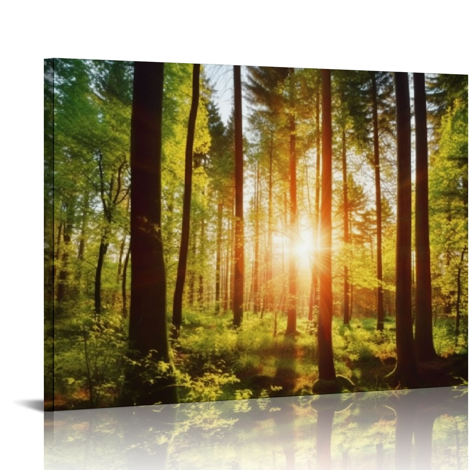 Nawypu Canvas Print Wall Art Sunrise Over The Green Forest Nature ...