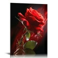 thumbnail image 1 of Nawypu Canvas Prints Wall Art - Closeup of Red Rose Flower Against Black Background | Modern Wall Decor/Home Decoration Stretched Gallery Canvas Wrap Giclee Print & Ready to Hang - 16x20 inch, 1 of 4