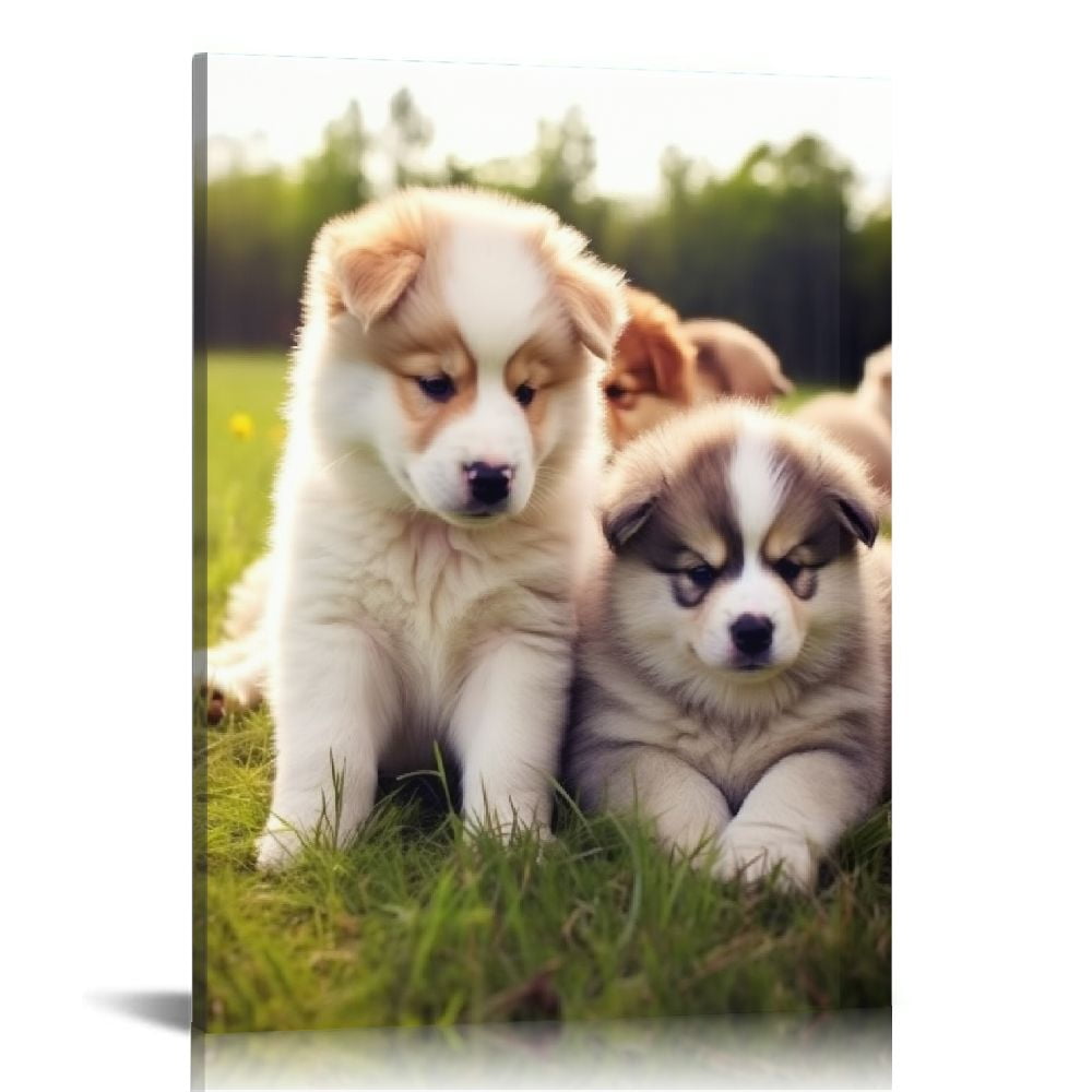 Nawypu Canvas Prints With Add A Personal Touch To Your Canvas Wall nawypu-canvas-prints-with-add-a-personal-touch-to-your-canvas-wall