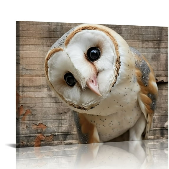 Nawypu - Canvas Wall Art - Common Barn Owl (Tyto Albahead) Head Close Up - Gallery Wrap Modern Home Art | Ready to Hang