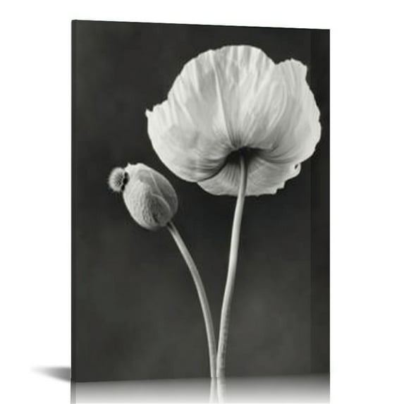 Nawypu Canvas Wall Art Contemporary Life White Flower Lily Painting Decor - Framed Prints Black and white Style Giclee Artwork Ready to Hang Home Decorations Office Decor Gift