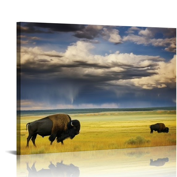 Nawypu Canvas Wall Art - Dennis Frates 'Buffalo In Field' Wall Art for Living Room, Bedroom, or Office Décor 20x16 Inches