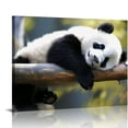 thumbnail image 1 of Nawypu Canvas Wall Art Living Room Panda Poster Animal Pictures Bedroom Prints Decor, 1 of 4
