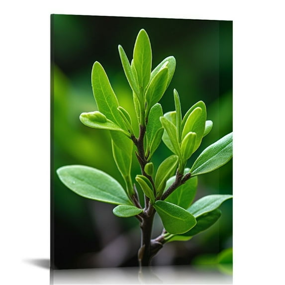 Nawypu Canvas Wall Art Marijuana Leaves Cannabis On Dark Wall Art Canvas Prints Wall Decor for Home Living Room Bedroom Bathroom Wall Decor Posters