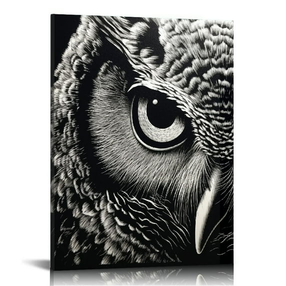 Nawypu Canvas Wall Art Owl Eyes Canvas Print Artwork Black And White Animals Wall Art Paintings Framed Ready to Hang for Living Room Dinning Room Bedroom Bathroom Home Decor