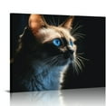 thumbnail image 1 of Nawypu Canvas Wall Art Siamese Cat Pictures Poster Print Animal Prints Wall Decor With Framed, 1 of 4