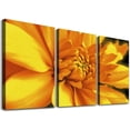thumbnail image 1 of Nawypu Carmel Yellow Mum by Kathie McCurdy, 12''x16''X3 Panels Canvas Wall Art, 1 of 4