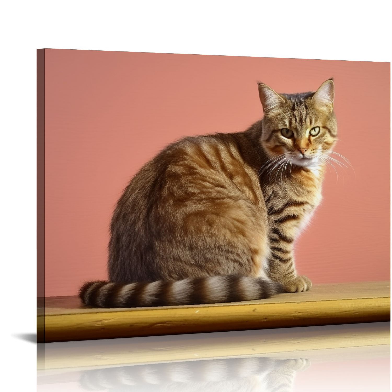 Nawypu Cat Canvas prints Wall Art Photography Poster Printing Living ...